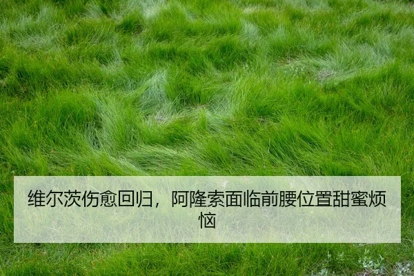 wei-er-ci-shang-yu-hui-gui-a-long-suo-mian-lin-qian-yao-wei-zhi-tian-mi-fan-nao-3-538.jpg